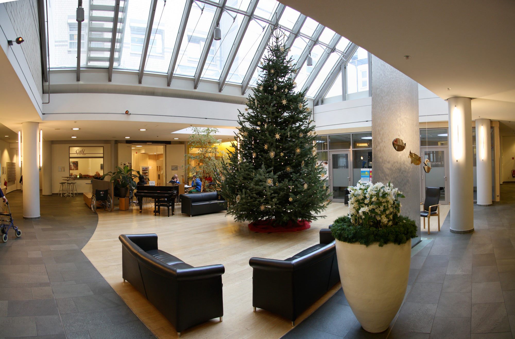 Großer Weihnachtsbaum in der Raphaelsklinik in Münster